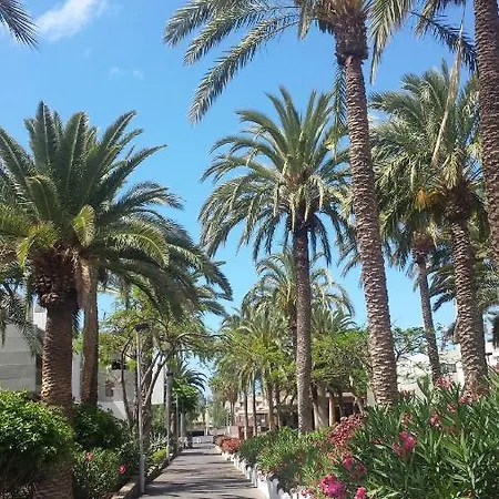 Simple Apartment Frontera Primavera Pool In South Tenerife Costa Del Silencio Exterior photo